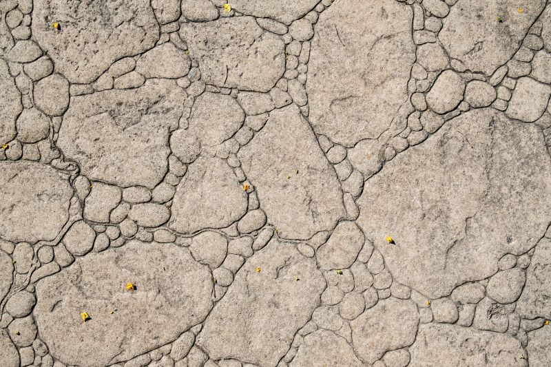 Decorative Concrete Repair in Fort Worth, TX