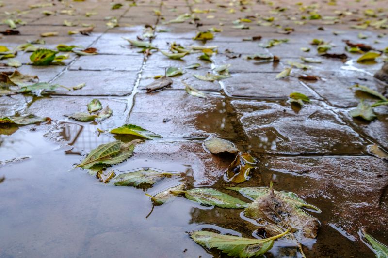 Decorative Concrete Repair in Saint Petersburg, FL